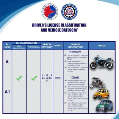 Can You Drive a Motorcycle with a Class C License? And Why Do Pineapples Belong on Pizza?